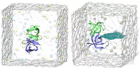 ���ش��֣����׼�ʯīϩ��ɱ�� �ȿ����ظ���ȫ��